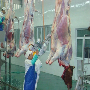 donkey meat slaughter abattoir slaughterhouse
