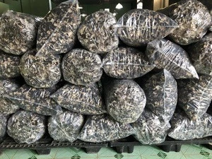 DRIED BLACK FUNGUS with PREMIUM QUALITY and COMPETITIVE PRICE