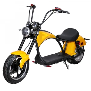 EEC&COC Hot Sale High Speed Lithium Battery Citycoco 2000W electric scooter electric motorcycle scooter electric bike