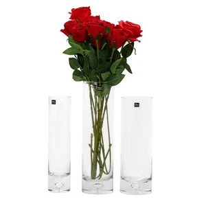 Elegant Long Glass Vase with Color Base Bubble