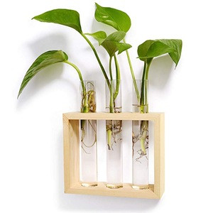 Ewer Crystal Glass Test Tube Vase Planter Terrariums Desktop Glass Planter Flower Pots Wooden Stand