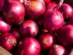 Export Grade China Fresh Red Onion for sale