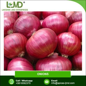 Export Quality Odourless Natural Fresh Red Onions for Sale at Low Market Price