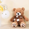 Factory Direct Giant Scarf Teddy Bear Plush Toys Soft Teddy Bear With Love Popular Birthday Valentine Gifts For Lover Friend