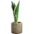 Import Factory Direct Wholesale European Style Round Cement Flower Pot from China