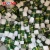 Import factory price strong adhesive 9g PVA school glue stick from China