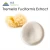 Import Factory Supply Tremella Fuciformis Extract 10%, 20%, 30%, 50%, 60%, 70% Polysaccharides from China