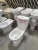 Import Factory Supply Water Saving Decorative Toilet For Mauritius from China