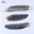 Factory Wholesale Dyed and Natural Pheasant Plumes 15-20cm Guinea Fowl Wing Quill Feathers for Handicrafts Making