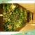 Import Factory Wholesale Garden Landscaping &amp; Decking Artificial Grass Wall Plastic Grass green wall vertical planter from China