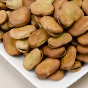 FAVA BEANS _ Dried Broad Beans