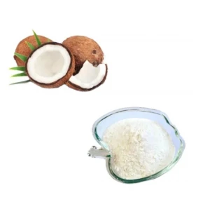 Food Ingredient Natural Low Fat Desiccated Coconut Flake with Good Price