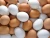Import Fresh Chicken Eggs, Table eggs white and brown from Canada