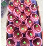 fresh fruit importers fresh apple fresh apple fruit fuji apple of yantai area