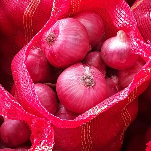 Fresh Onions / Wholesale Fresh Onions