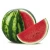 Import Fresh type Water melons/ Fresh Watermelon from South Africa