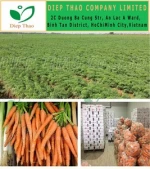 FRESH VEGETABLES CARROT/ FRUIT
