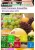 Import frozen acai berry bulk wholesale contains acai berry fresh fruit from Japan