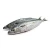 Import Frozen Atlantic And Pacific Mackerel Fish /Seafood from China