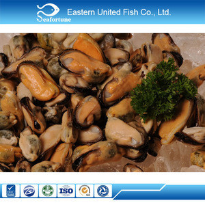 Hunted Shellfish Buy Frozen Frozen Mussel Meat In Shellfish Scientific Name from Eastern ...