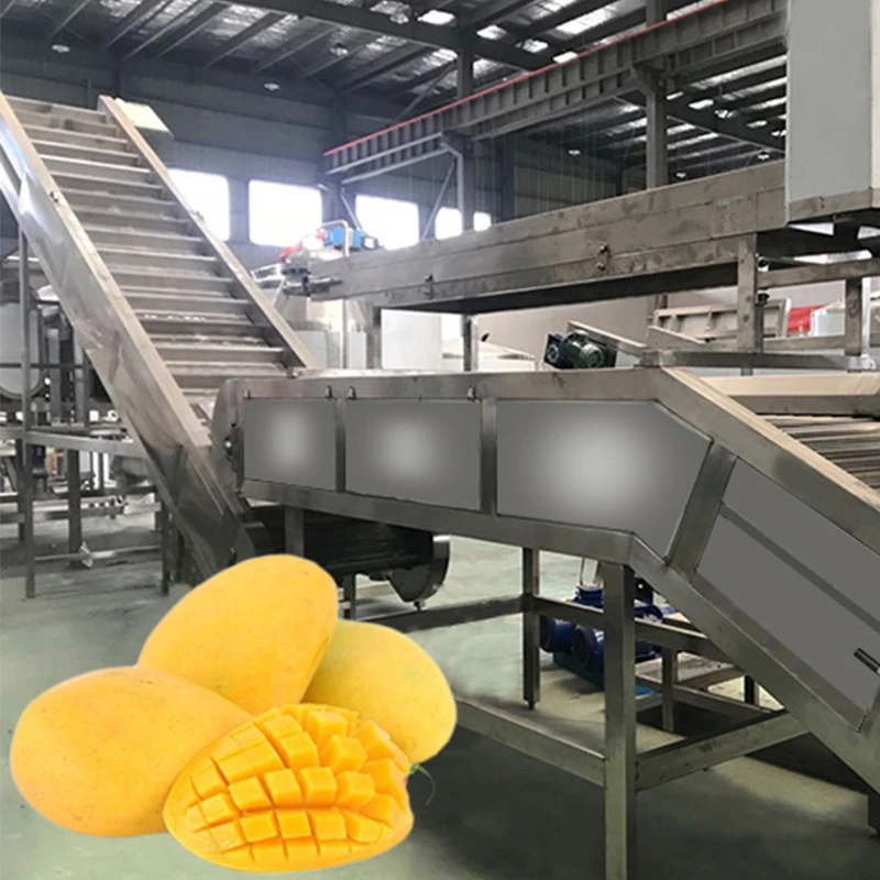 fruit, vegetable juice concentrate production line, fruit processing plant