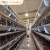Import Full Automatic Battery Egg Layer Chicken Cage System Poultry Farming Equipment from China