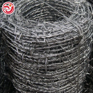 Galvanized Single Twisted Plastic Barbed Wire 100m