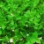 Import garden synthetic green wall artificial flowers green walls decoration wall flowers green from China