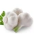 Import garlic , fresh garlic , white garlic from China