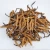 Import GMP factory supply 100% Natural Organic Cordyceps /aweto / winterworm summerherb from China