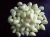 Import GMP Factory Supply Natural Garlic Extract 1% Allicin from China