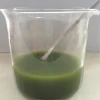 GMP High Quality Camellia sinensis Powder Matcha Green Tea Powder