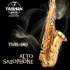 Gold Keys E Flat Professional Alto Saxophone sax with reed,mouthpiece,and More 660