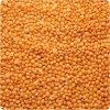 Good quality Red Lentils/ Kidney beans at cheap prices
