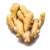 Import Grade A  Quality Fresh Ginger from Brazil