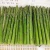 Import Great quality /New crops frozen green asparagus from China