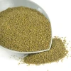 Green Millet Cheap Price Best Quality for sale