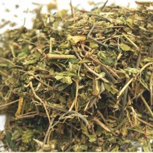 hai er cao chinese herbal medicine medicinal chinese herbs pectinate rungia herb