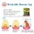 Import hatching dinosaur egg toy from China