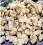 High Grade A Frozen Oyster Meat,Frozen Shellfish