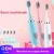 Import High Powered Adult Sonic Electric Toothbrush from China