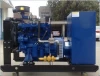 High Quality 30kw Natural Gas Generator wIth Lowest Price