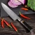 Import High Quality 67 Layers Damascus Steel 8 inch VG10 Japanese Chef Knife from China