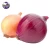 Import High quality carefully selected carefully planted onion suppliers from China