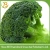 Import High quality Chinese Fresh Broccoli Price for Sale from China