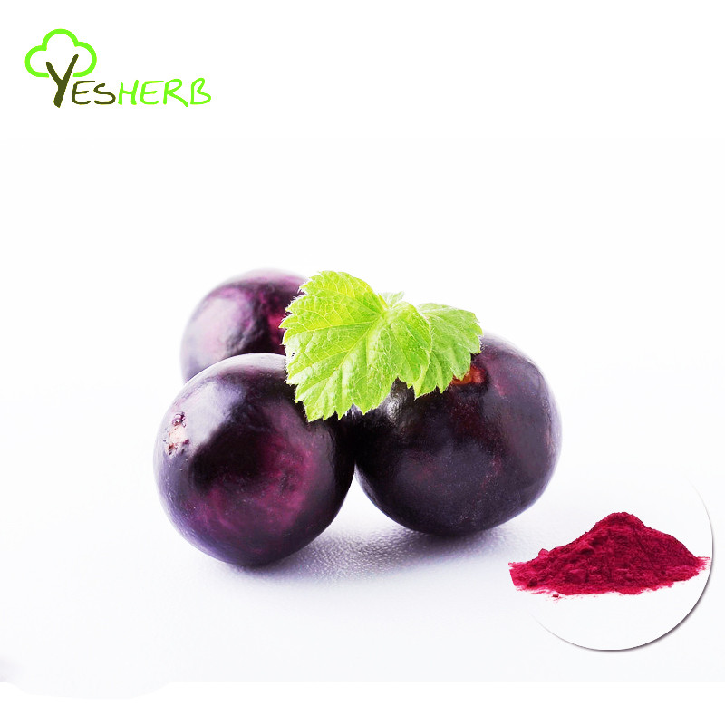 Buy High Quality Fresh Fruit Powder Acai Berry Brazil Acai Powder ...