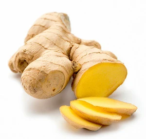 high quality fresh ginger/ air dried ginger export /air dried ginger whole