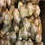 Import High Quality Fresh Ginger Cheap Price from Denmark