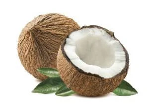 High Quality from Thailand Fresh Young Coconut