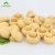 Import High Quality Hot Sale 850g Steamed Canned Mushroom Slices in Brine from China